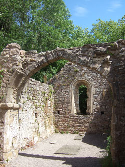 Image of St. Cewydd
