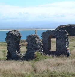 Image of St. Dwynwen